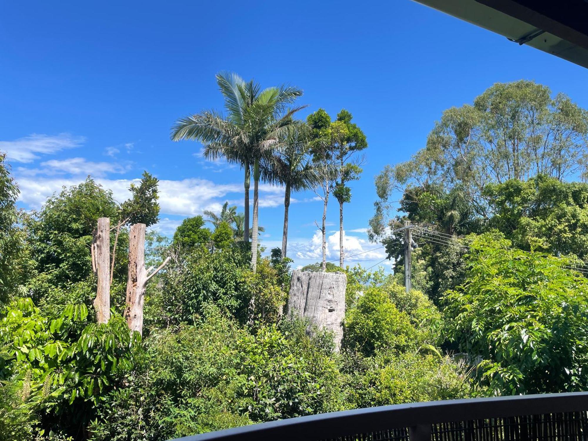 Maleny Terrace Cottages Luaran gambar